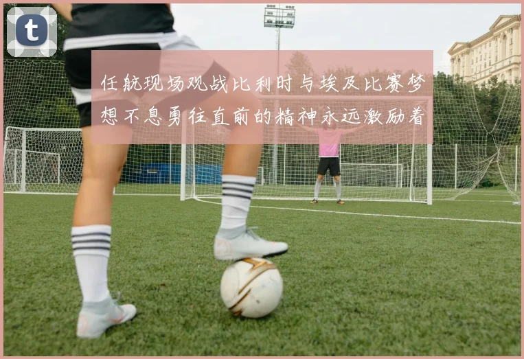 任航现场观战比利时与埃及比赛梦想不息勇往直前的精神永远激励着我们