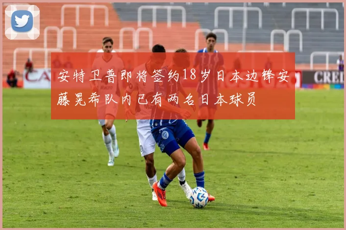 安特卫普即将签约18岁日本边锋安藤晃希队内已有两名日本球员