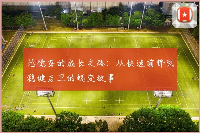 范德芬的成长之路：从快速前锋到稳健后卫的蜕变故事