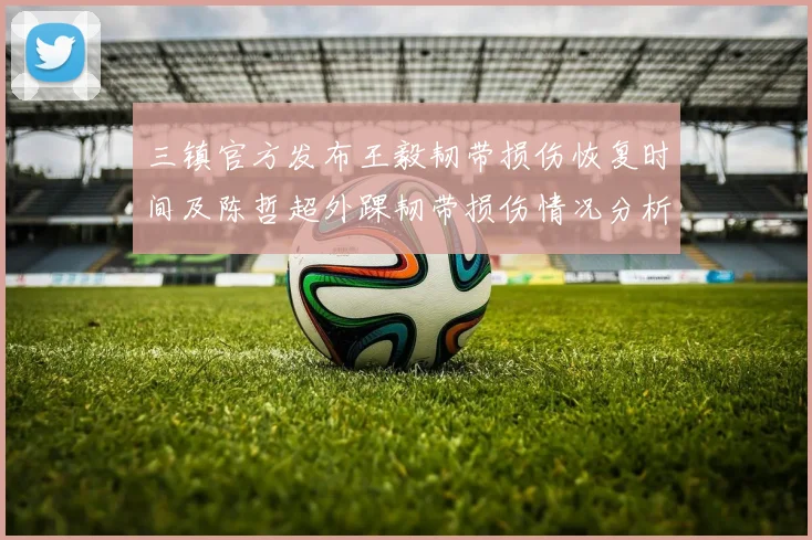 三镇官方发布王毅韧带损伤恢复时间及陈哲超外踝韧带损伤情况分析