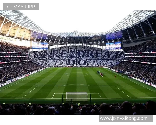 热刺大股东刘易斯家族信托注资1亿镑助力俱乐部发展